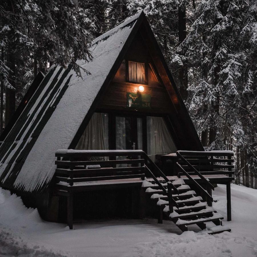 Villas Jagoda&Malina Borovets Exterior foto